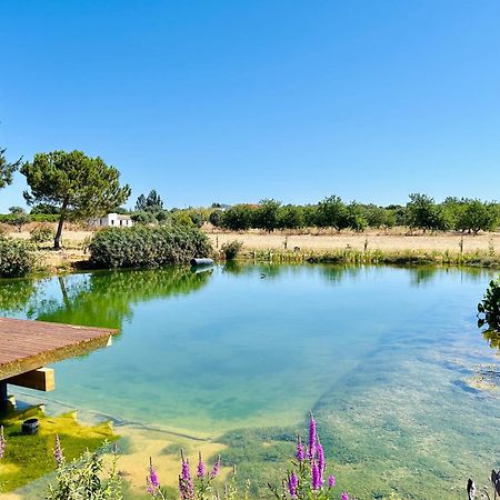 Glamping On Organic Yoga Farm With Natural Swimming Pool Near Beach Moncarapacho Exterior photo