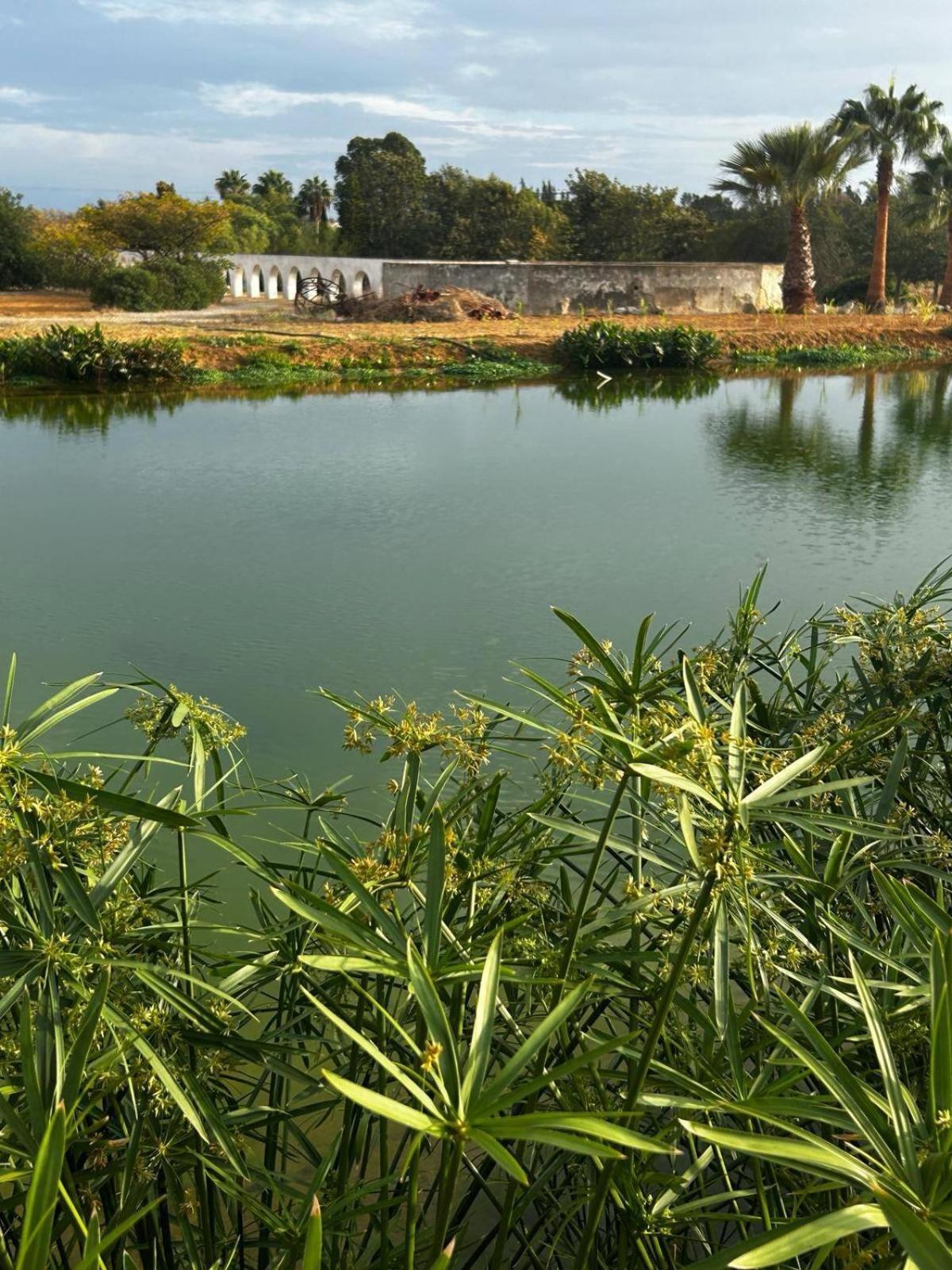 Glamping On Organic Yoga Farm With Natural Swimming Pool Near Beach Moncarapacho Exterior photo