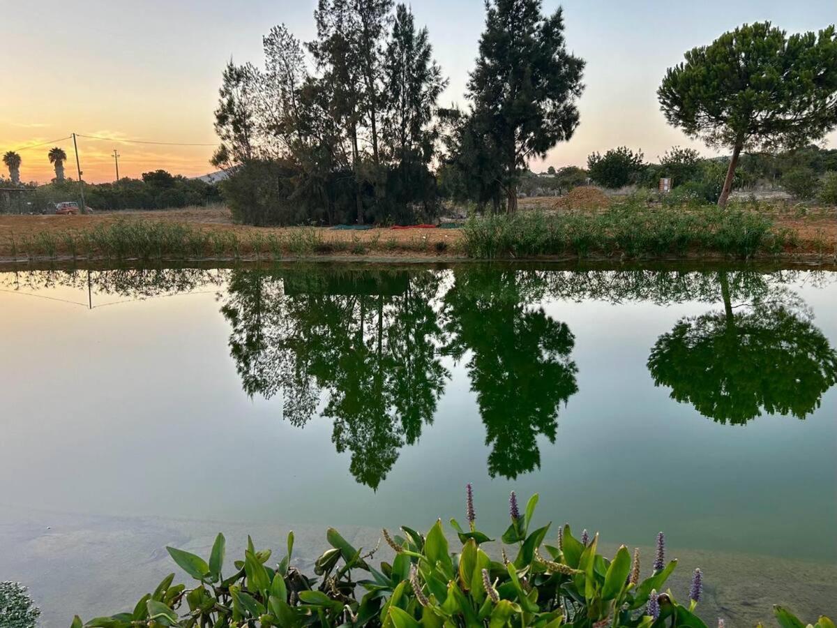 Glamping On Organic Yoga Farm With Natural Swimming Pool Near Beach Moncarapacho Exterior photo