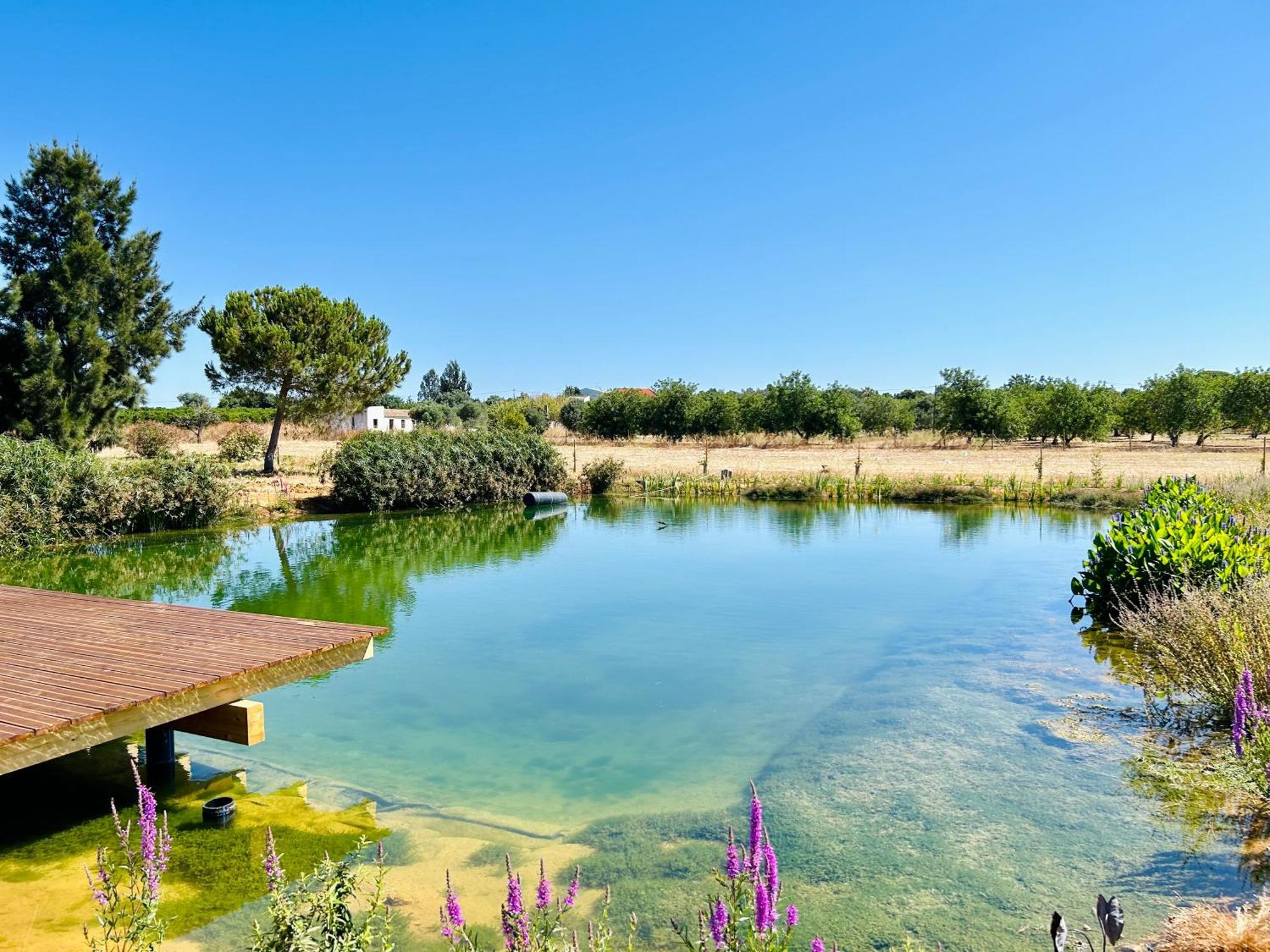 Glamping On Organic Yoga Farm With Natural Swimming Pool Near Beach Moncarapacho Exterior photo